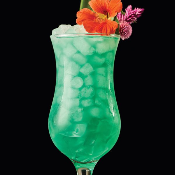 Hawaiian-Holiday@2x Hawaiian Holiday