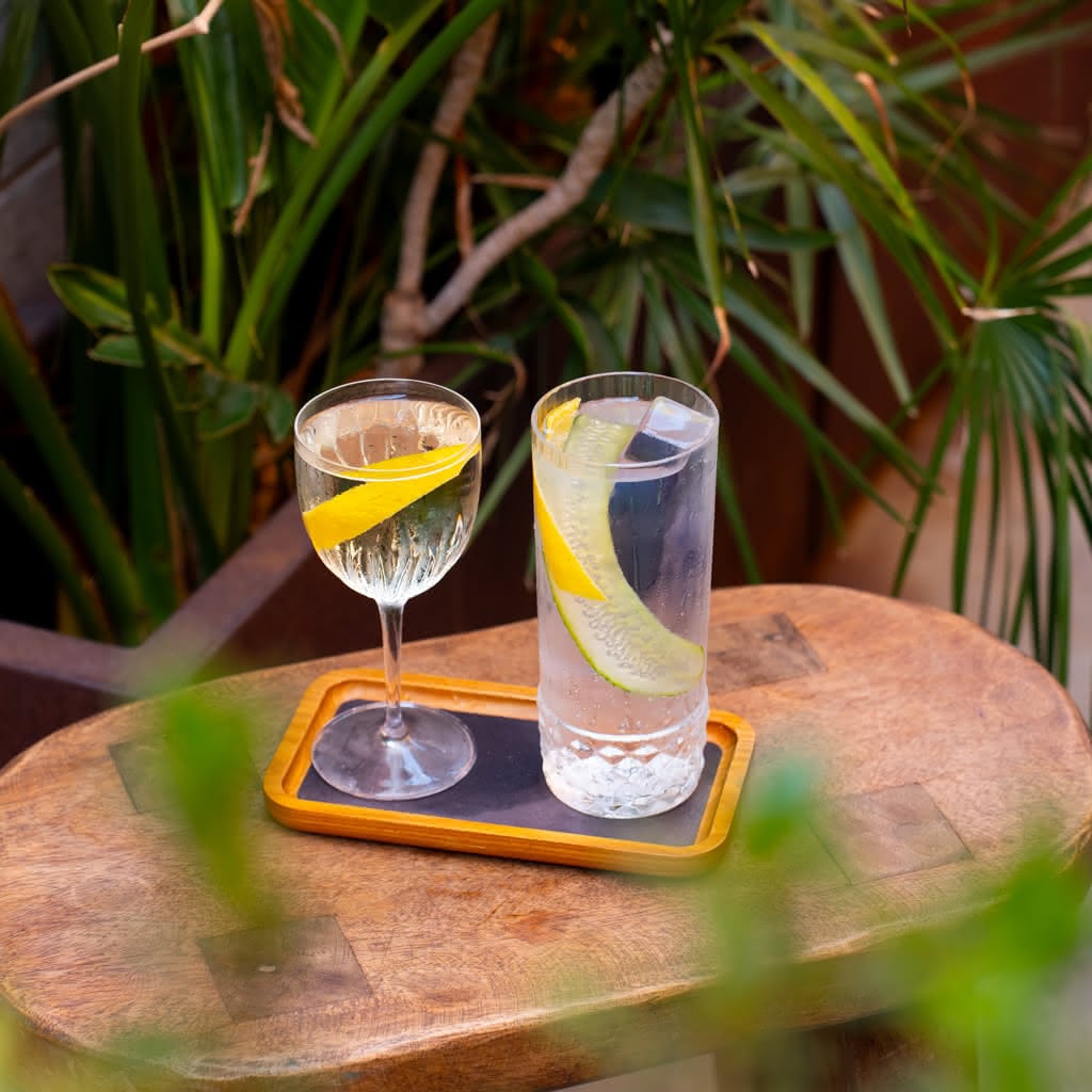 Two crystal-clear cocktails on a small wooden tray on a round table surrounded by tropical plants.