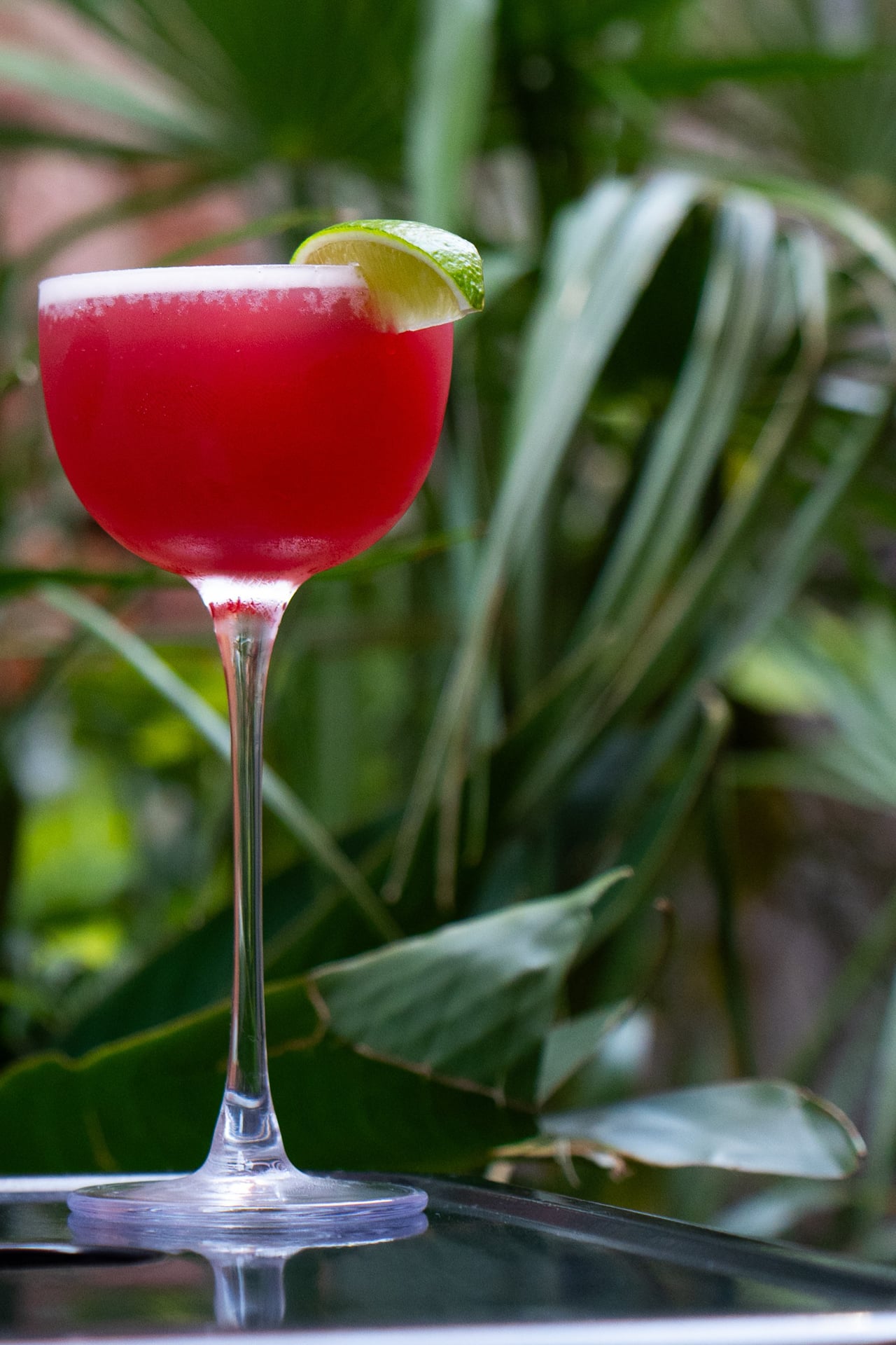 A vibrant red cocktail in a tall coupe glass garnished with a lime wedge, photographed against lush tropical green foliage
